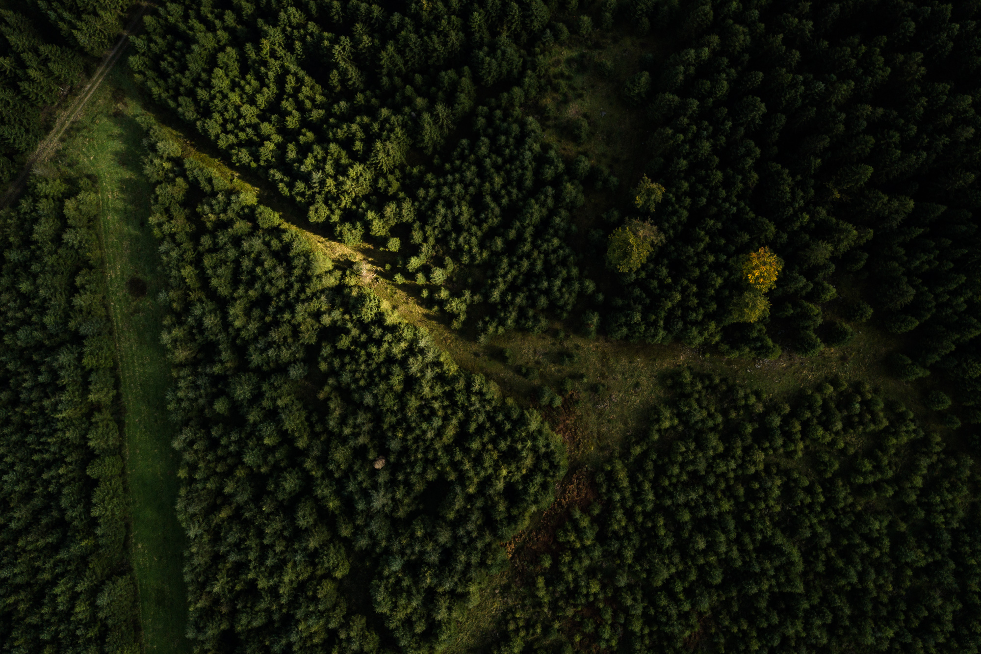 Chemin traversant la forêt vu du ciel près de Metsä