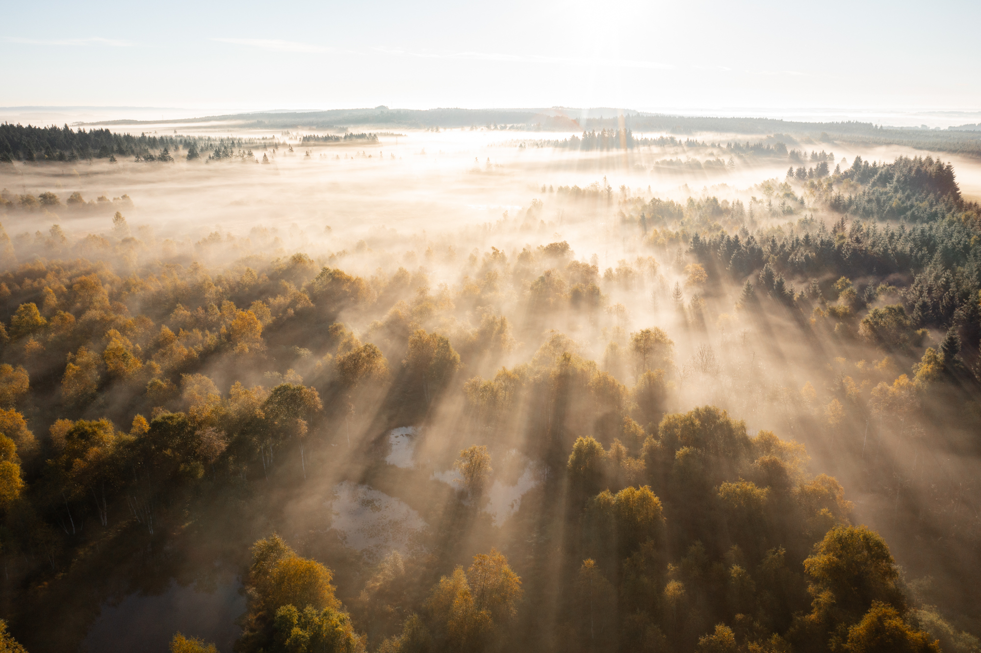 Brume sur le Plateau des Tailles